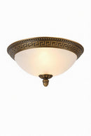 Elindrya | Ceiling Mounted Light