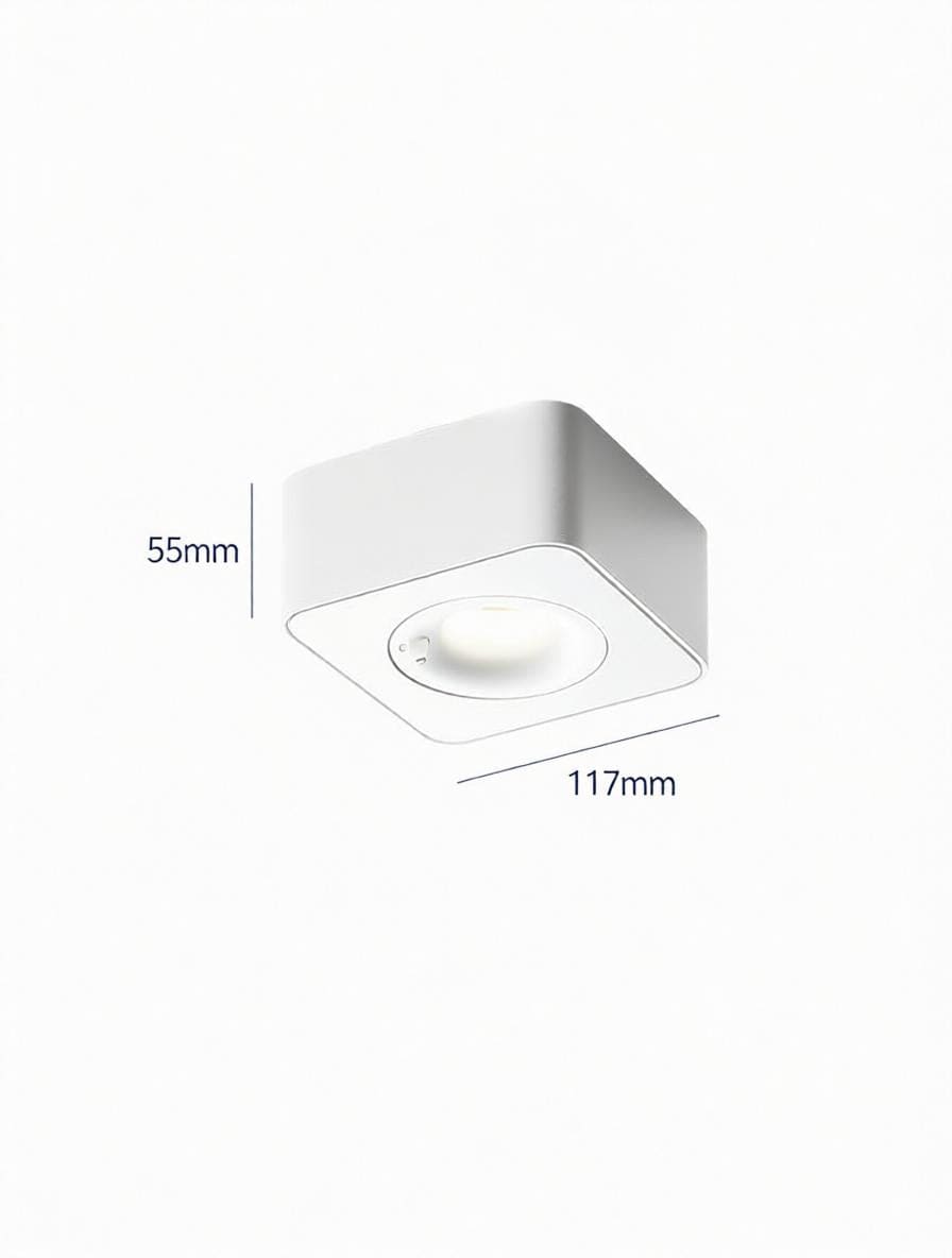 Torvalynor | Surface Mounted Light
