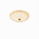 Saelori | Ceiling Mounted Light