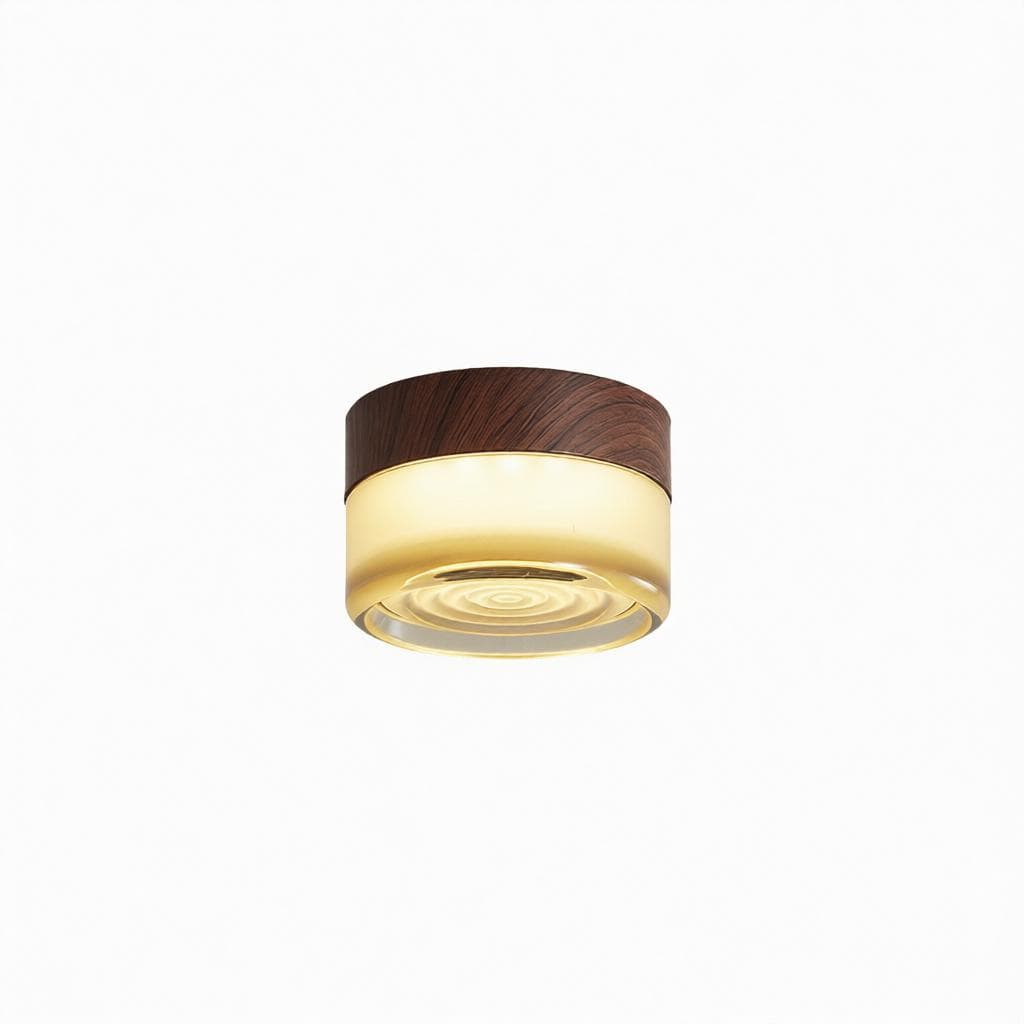 Evarisil | Ceiling Mounted Light - Detail View #7 | HomeCartel