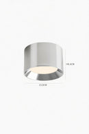 Aldriven I Retro Ceiling Mounted Light