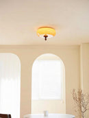 Thrivaine I Retro Ceiling Mounted Light