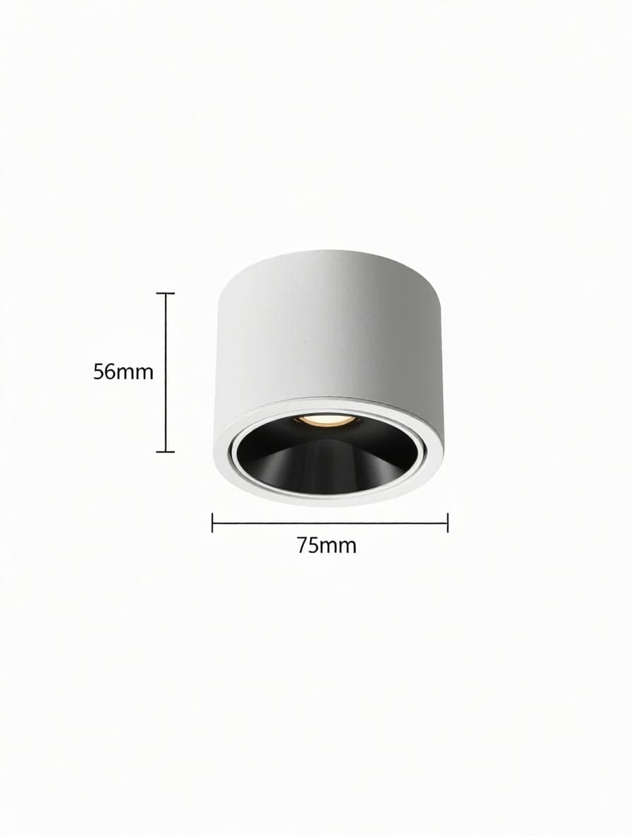 Jonvaleriae | Surface Mounted Light