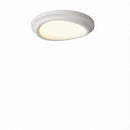 Caelmira | Ceiling Mounted Light