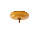 Thrivaine I Retro Ceiling Mounted Light