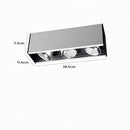 Lorwynesse | Surface Mounted Light