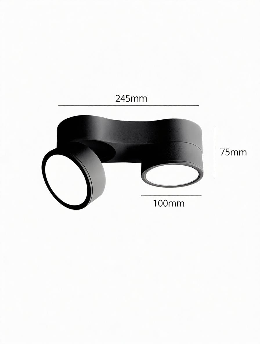 Kelryssarae | Surface Mounted Light