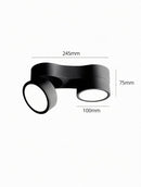 Kelryssarae | Surface Mounted Light