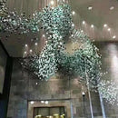 Thiryn I Cluster Chandelier