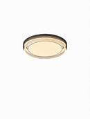 Seltharun | Ceiling Mounted Light