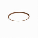 Vaenile | Ceiling Mounted Light