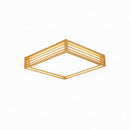 Iselwyn | Ceiling Mounted Light