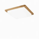 Malorien B | Ceiling Mounted Light