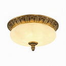 Elunyra | Ceiling Mounted Light