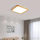 Rozner Deux | Ceiling Mounted Light
