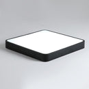 Baron Deux | 2 Color Ceiling Mounted Light