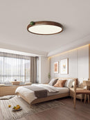 Mirivra | Ceiling Mounted Light
