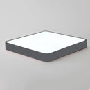 Baron Deux | 2 Color Ceiling Mounted Light