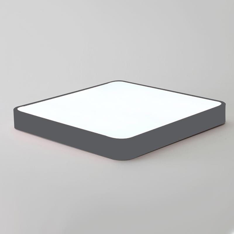 Baron Deux | 2 Color Ceiling Mounted Light
