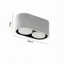 Myralvion | Surface Mounted Light