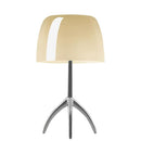 Myrreniel I Table Lamp
