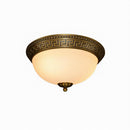 Seranoril | Ceiling Mounted Light