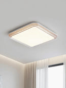 Orlunni Deux | Ceiling Mounted Light