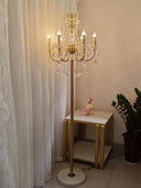 Dornielle Une I Crystal Floor Lamp