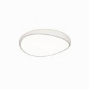Tashima | Ceiling Mounted Light