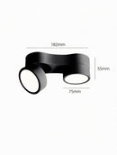 Kelryssarae | Surface Mounted Light