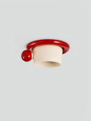 Taelisun | Ceiling Mounted Light