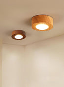 Elrenvara Une | Surface Mounted Light