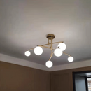 Evander | Modern Chandelier