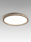Minerich | Ceiling Mounted Light