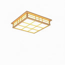 Tarysira | Ceiling Mounted Light