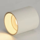 Ladale | Surface Mounted Downlight