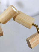 Aelvenstra | Track Light