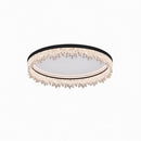 Veylissia | Ceiling Mounted Light