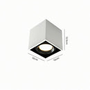 Luravynor Deux | Surface Mounted Light