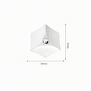 Selwenra I Ceiling Mounted Light