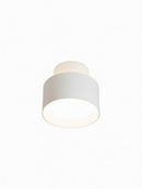 Elwynmire I Semi Flush Mounted Light