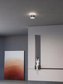 Elwynmire I Semi Flush Mounted Light