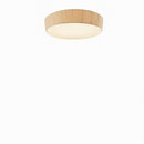 Niziol | Ceiling Mounted Light