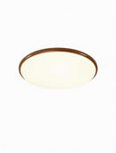 Sirenean C | Ceiling Mounted Light