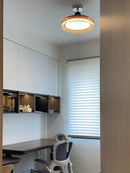 Ornic | Semi Flush Mounted Light