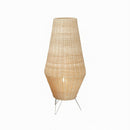 Elenith | Floor Lamp