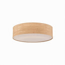Veylissra | Ceiling Mounted Light