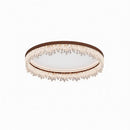 Veylissia | Ceiling Mounted Light