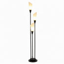 Haulcy | Floor Lamp