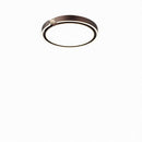 Brosmer A | Ceiling Mounted Light